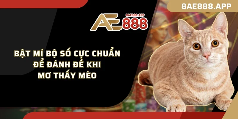 Bật mí bộ số cực chuẩn để đánh đề khi mơ thấy mèo