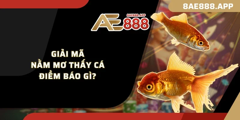 Giải mã nằm mơ thấy cá điềm báo gì?