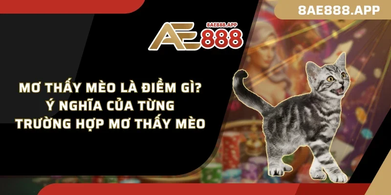 Mơ thấy mèo là điềm gì? Ý nghĩa của từng trường hợp mơ thấy mèo