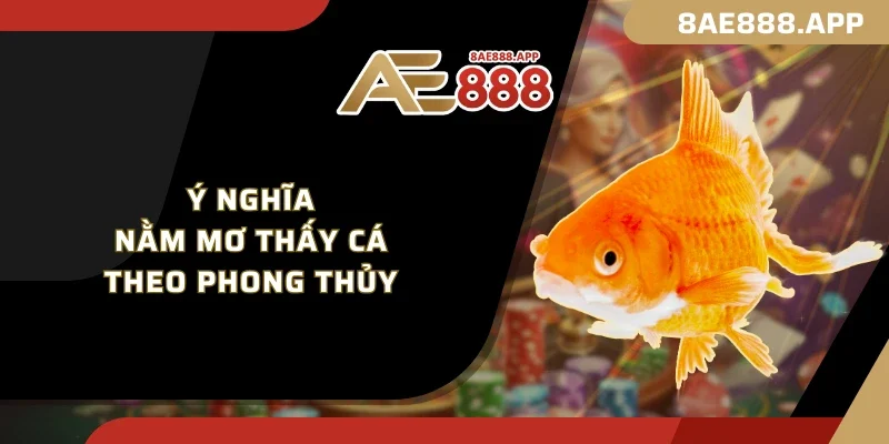 Ý nghĩa nằm mơ thấy cá theo phong thủy